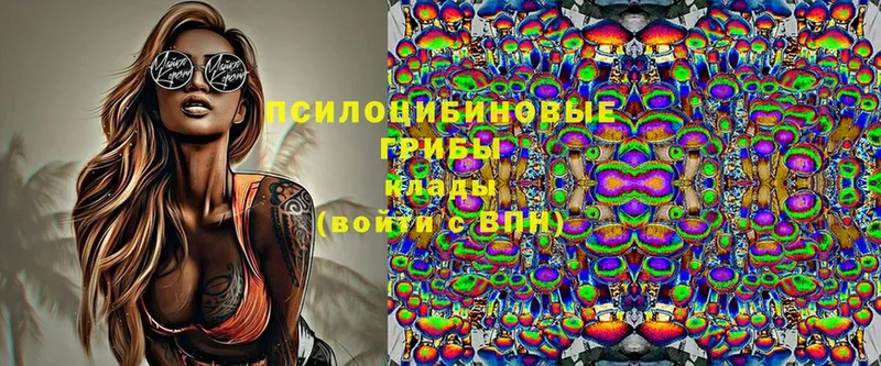 OMG как зайти  Белокуриха  Галлюциногенные грибы прущие грибы 